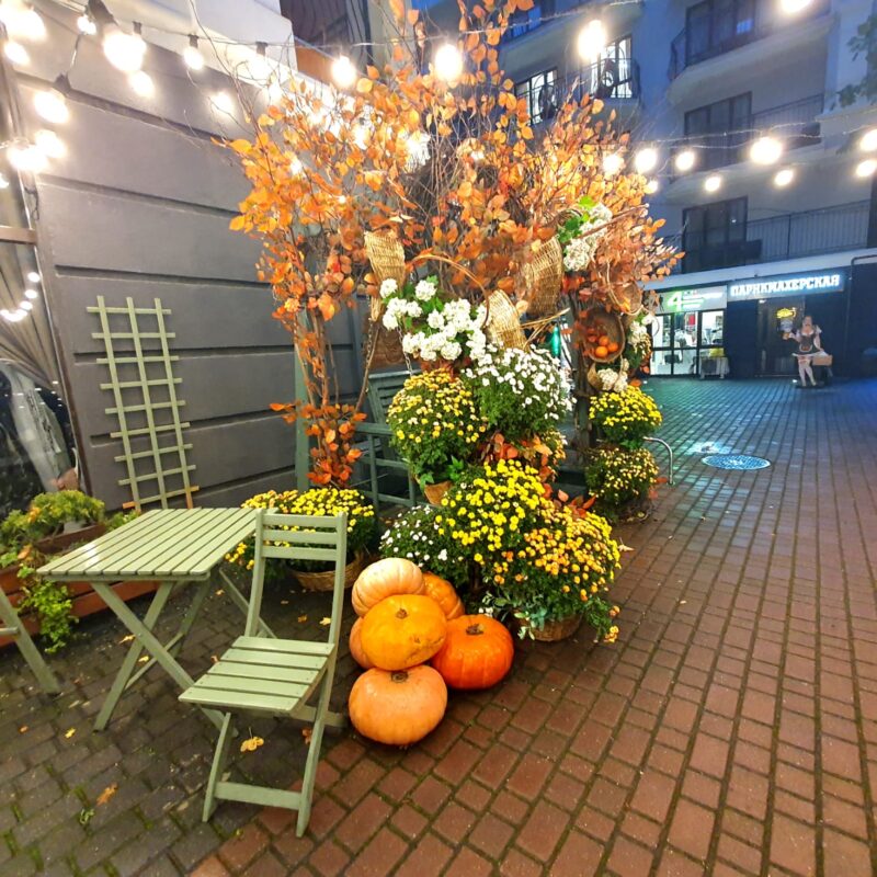 IMG-20240317-WA0213