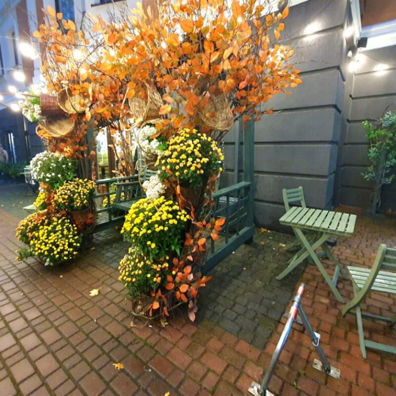 IMG-20240317-WA0217