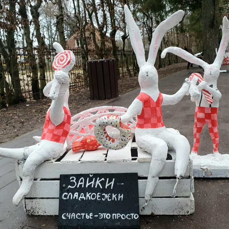 IMG-20240317-WA0722
